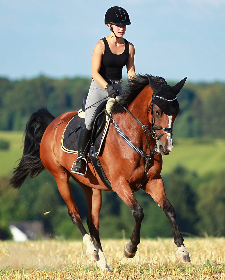 Eine Frau reitet auf einem braunen Pferd im Galopp